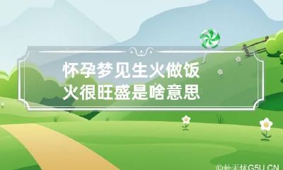 怀孕梦见生火做饭火很旺盛是啥意思