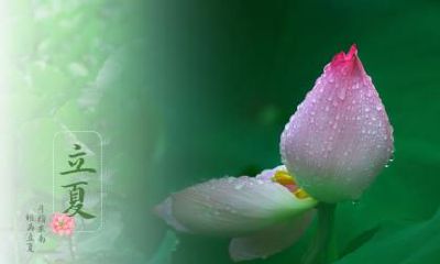 2020年立夏5月5日放假吗？立夏吃什么传统美食？