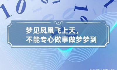 梦见凤凰飞上天，不能专心做事 做梦梦到凤凰在天上飞是什么意思