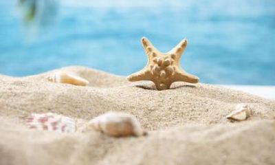 2020年5月5日立夏可以办满月酒吗？满月酒有什么讲究？