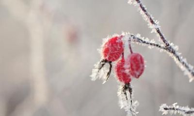 2018年霜降可以怀孕吗？霜降孕妇要注意什么？