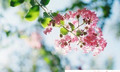 吕克2018年星座运势狮子座