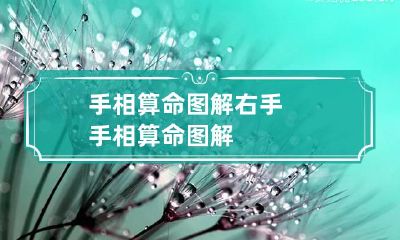手相算命图解 右手手相算命图解