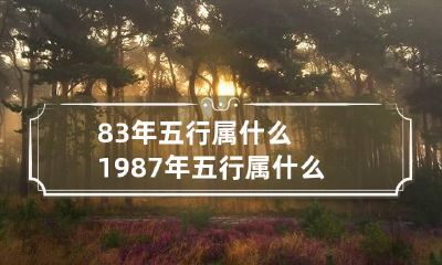 83年五行属什么 1987年五行属什么,缺什么