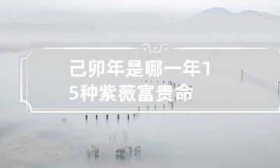 己卯年是哪一年 15种紫薇富贵命