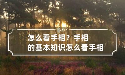怎么看手相？手相的基本知识 怎么看手相?手相的基本知识视频