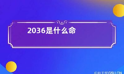 2036是什么命