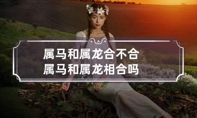 属马和属龙合不合 属马和属龙相合吗