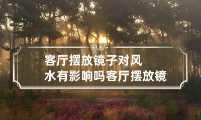 客厅摆放镜子对风水有影响吗 客厅摆放镜子好不好