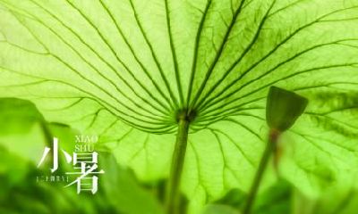 属马的在寒露节气出生的命运怎么样？在这天出生好吗？