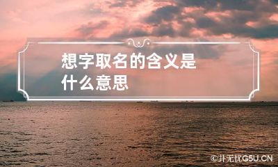 想字取名的含义是什么意思