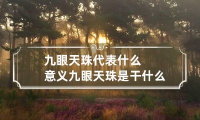 九眼天珠代表什么意义 九眼天珠是干什么用的