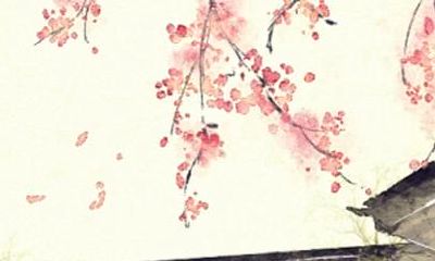 属牛人的幸运数字和幸运色分别是什么