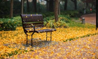 2018年大雪节气有何养生禁忌？卦象好吗？