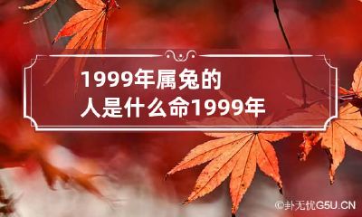 1999年属兔的人是什么命 1999年属兔人是什么命五行中缺什么