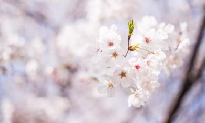 大雪应该要注意什么？大雪节气吃什么？