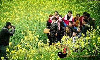 梦见组团旅游自己掉队了