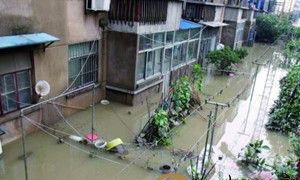 梦见一楼被水淹了