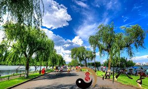 梦见全家去旅游