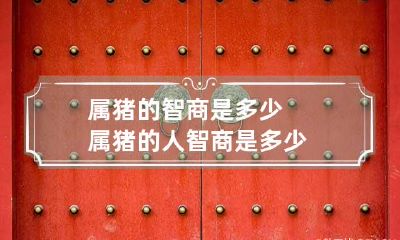 属猪的智商是多少 属猪的人智商是多少