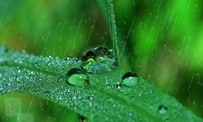 寒露天气会变冷吗？寒露后会下雨吗？