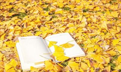 大雪节气古诗句及民谚俗语盘点