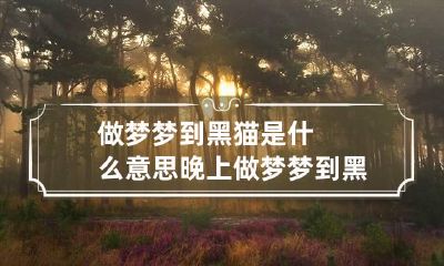 做梦梦到黑猫是什么意思 晚上做梦梦到黑猫是什么意思