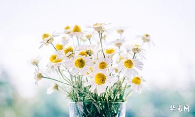 2022壬寅年六月二十七日适不适合求婚？日子好吗？