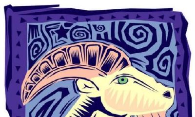 白羊座最容易被什么细节打动