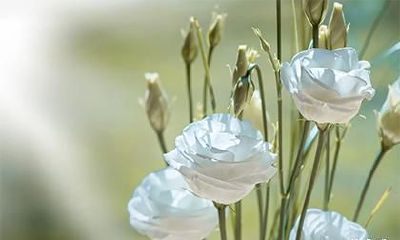 2022年六月二十二日是向另一半求婚的好日子吗？