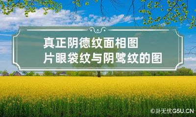 真正阴德纹面相图片 眼袋纹与阴骘纹的图片