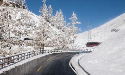 2018年大雪这天可以登记领结婚证吗？需要携带什么证件？