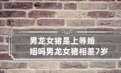 男龙女猪是上等婚姻吗 男龙女猪相差7岁婚姻好不好