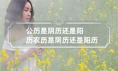 公历是阴历还是阳历 农历是阴历还是阳历