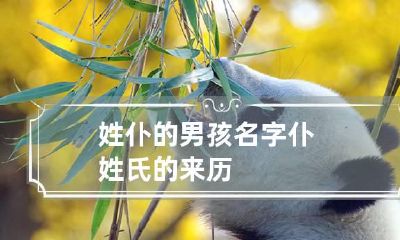 姓仆的男孩名字 仆姓氏的来历