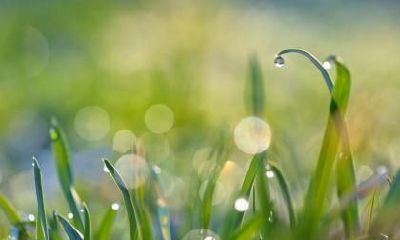 2020年小满节气安床好不好？安床有什么讲究？