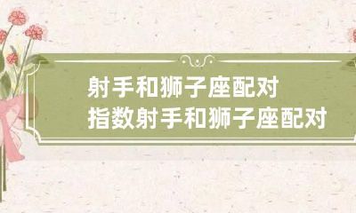 射手和狮子座配对指数 射手和狮子座配对指数配对