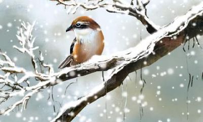 大雪出生的伟人名人有哪些？大雪出生的人命好吗？