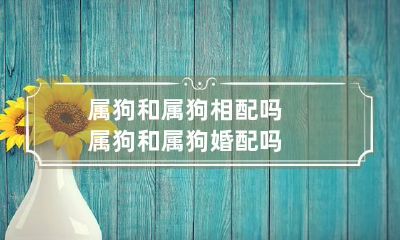 属狗和属狗相配吗 属狗和属狗婚配吗