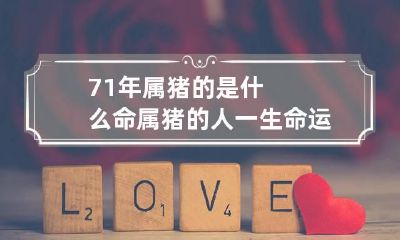71年属猪的是什么命 属猪的人一生命运如何