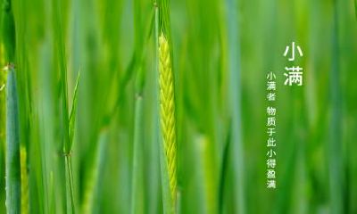 2020年小满5月20日十二时辰吉凶一览表！