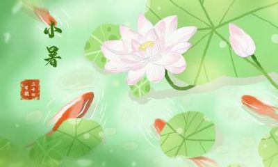 小满下一个节气是什么？芒种吗？小满天气的特点？