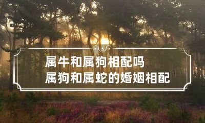 属牛和属狗相配吗 属狗和属蛇的婚姻相配吗