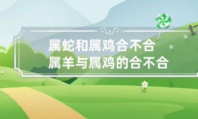 属蛇和属鸡合不合 属羊与属鸡的合不合