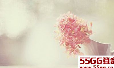 箬耶2013年6月星座运势