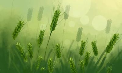 2020年小满是几月几号？2020年小满是哪一天？