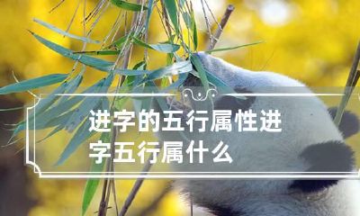 进字的五行属性 进字五行属什么?