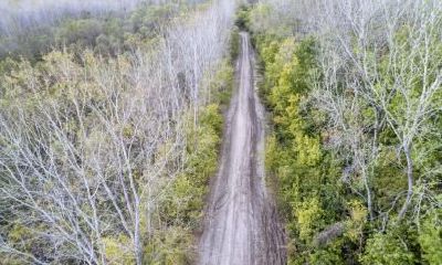 2019年农历十月可以出殡的日子吉日盘点