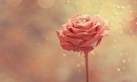 12星座正确顺序，十二星座的正确顺序