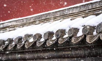 2019年大雪节气天气怎么样，大寒节气冷还是大雪冷？